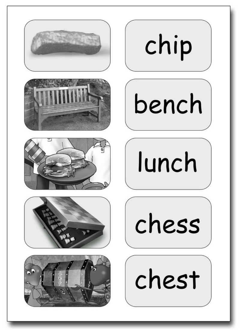 Dandelion Launchers, Units 11-15 ‚The Big Chip - (6 x Sets, 120 Books)